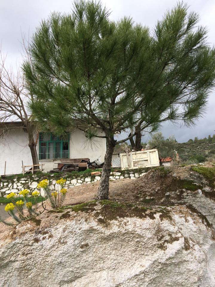 Kavaklıdere Kurucaova Köyü Resimleri 11