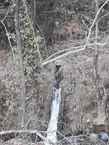 Kavaklıdere Salkım Köyü Resimleri 10