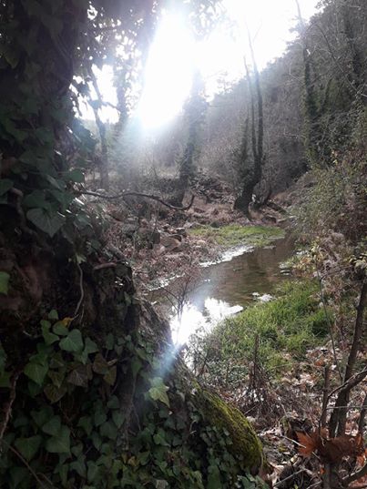 Kavaklıdere Salkım Köyü Resimleri 2