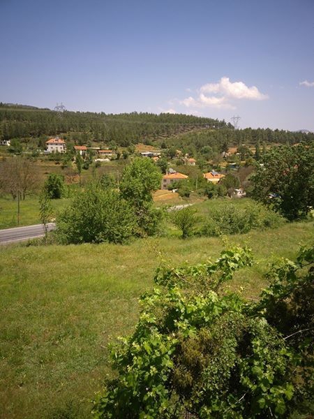 Kavaklıdere Salkım Köyü Resimleri 22