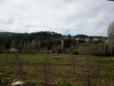 Kavaklıdere Salkım Köyü Resimleri 23