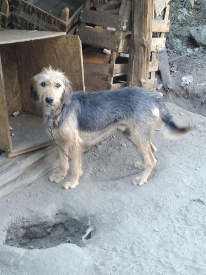 Kavaklıdere Salkım Köyü Resimleri 24