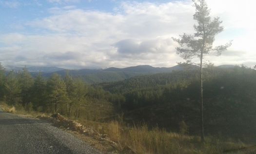 Kavaklıdere Salkım Köyü Resimleri 6