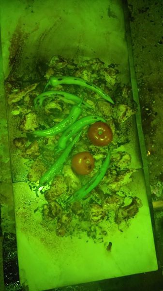 Kavaklıdere Salkım Köyü Resimleri 7