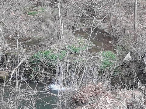 Kavaklıdere Salkım Köyü Resimleri 9