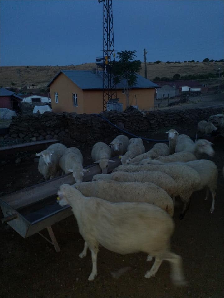 Elazığ Beydalı Köyü Resimleri 3