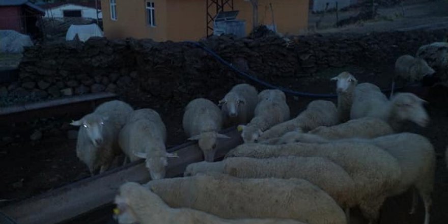 Elazığ Beydalı Köyü Resimleri