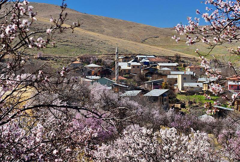 Elazığ Dallıca Köyü Resimleri 5