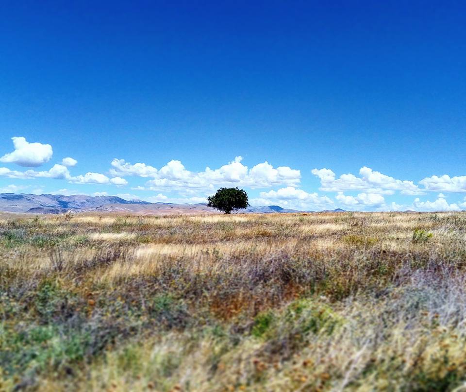 Elazığ Dambüyük Köyü Resimleri 1