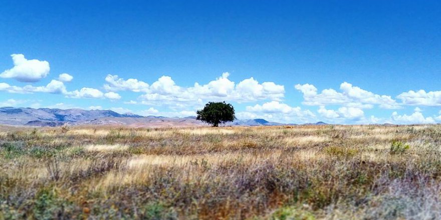 Elazığ Dambüyük Köyü Resimleri