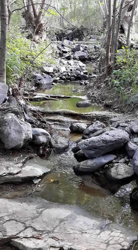 Elazığ Erbildi Köyü Resimleri 2