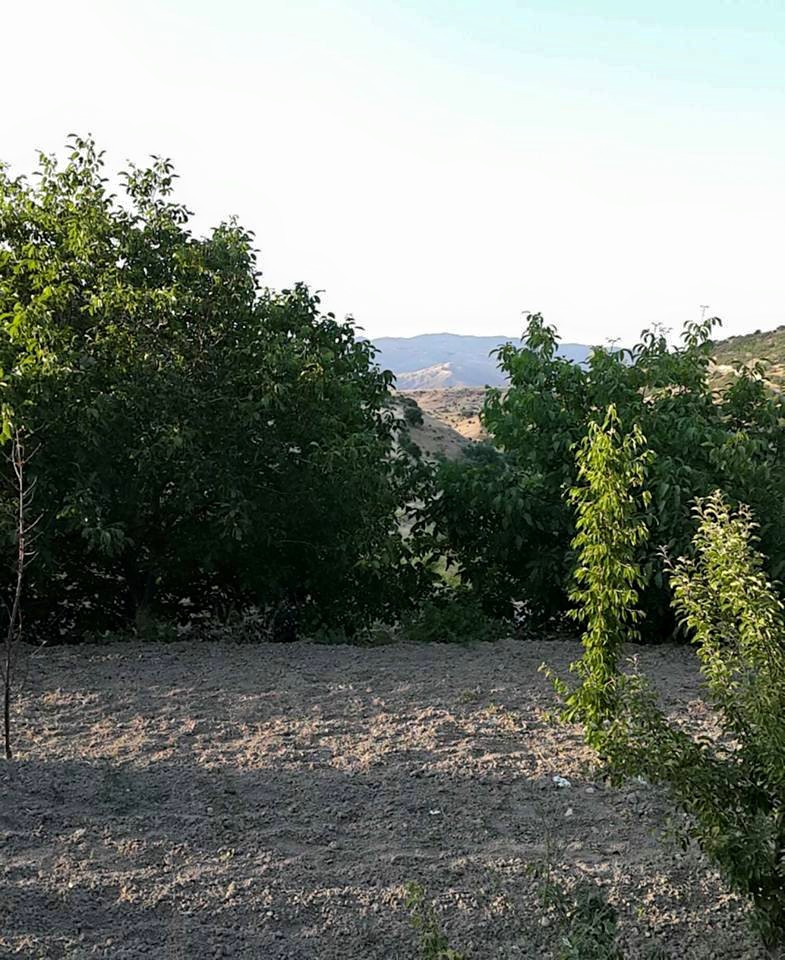 Elazığ Erbildi Köyü Resimleri 6