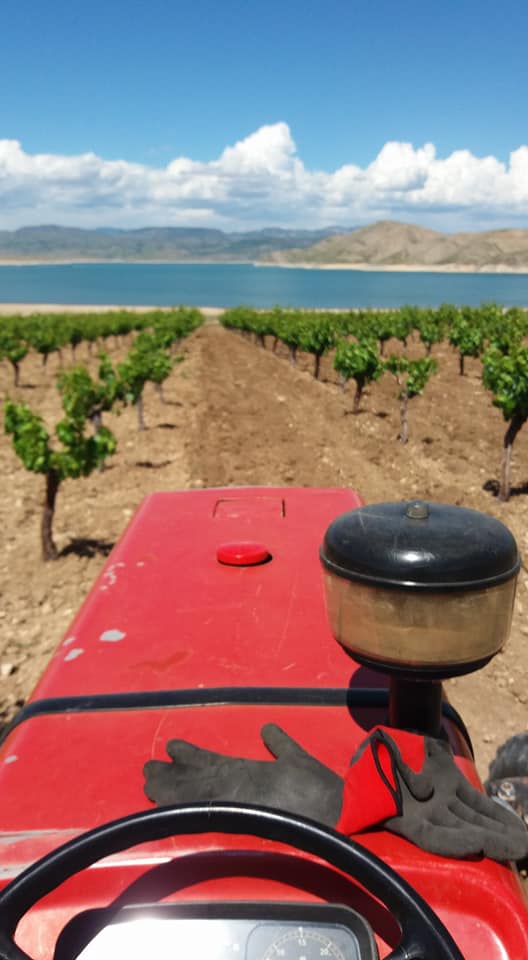 Elazığ Esenkent Köyü Resimleri 3