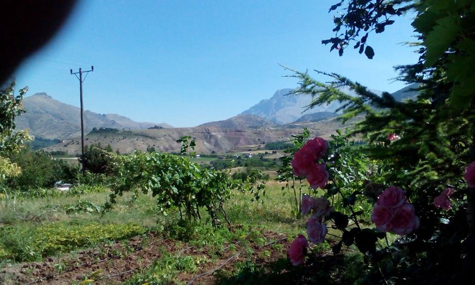 Adana Pozantı Dağdibi Köyü resimleri 7