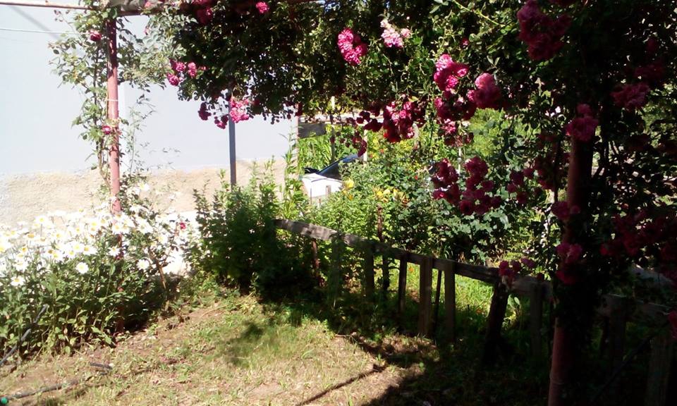 Adana Pozantı Dağdibi Köyü resimleri 9