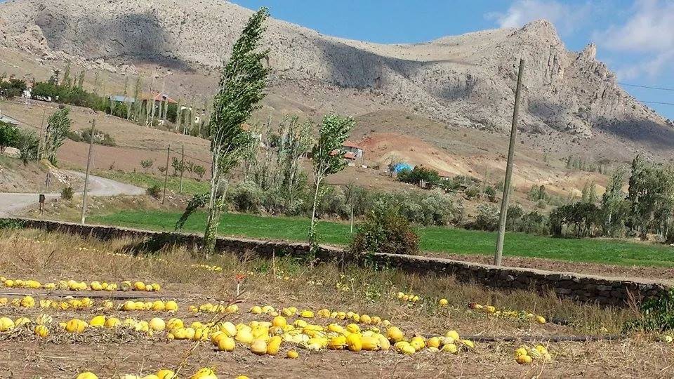 Gemerek Kartalkaya Köyü Resimleri 12