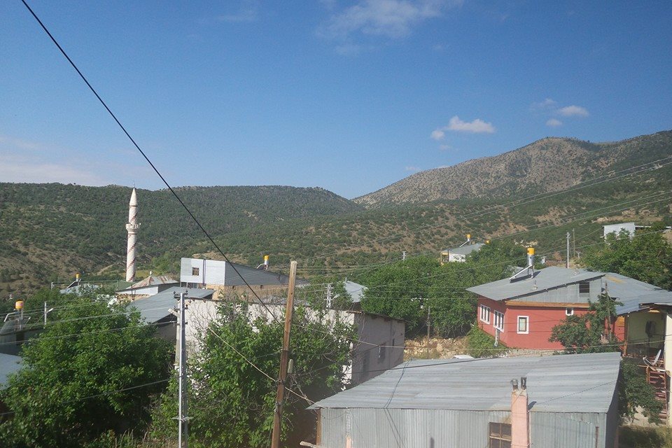 Kemah Ağaçsaray Köyü Resimleri 1