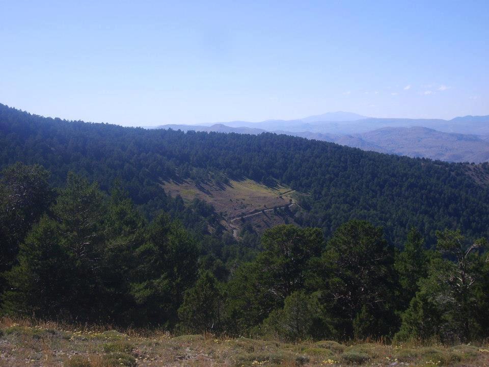 Kemah Ağaçsaray Köyü Resimleri 12