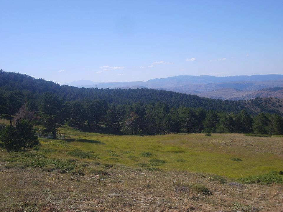 Kemah Ağaçsaray Köyü Resimleri 13