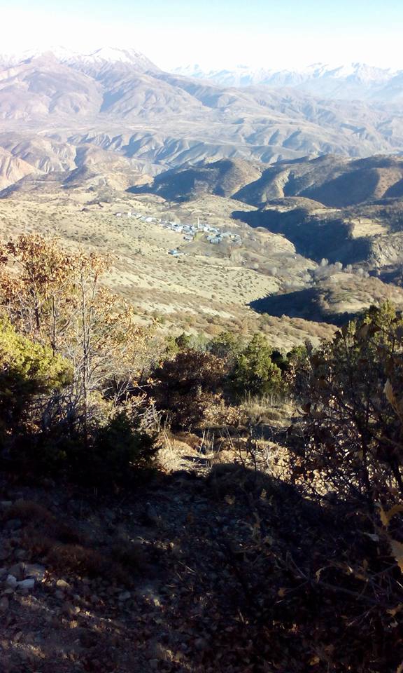 Kemah Ağaçsaray Köyü Resimleri 14