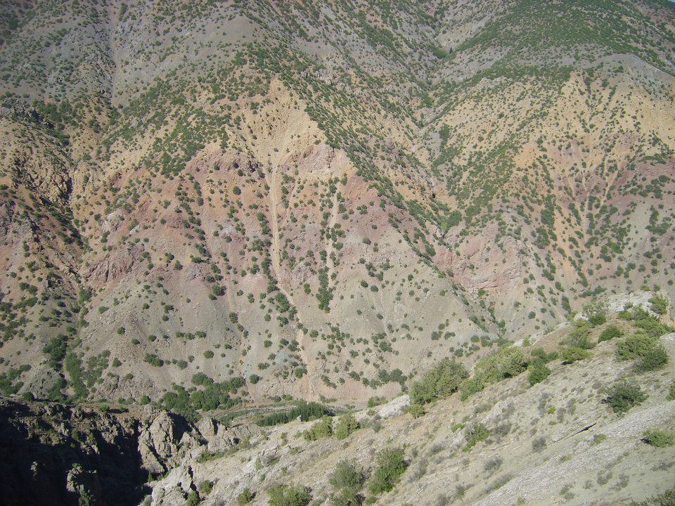 Kemah Ağaçsaray Köyü Resimleri 19