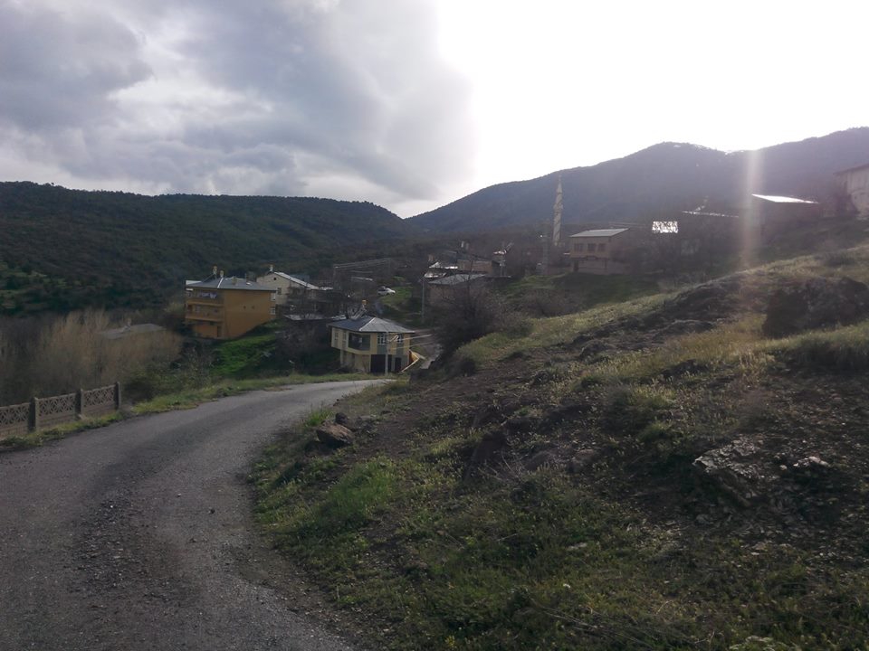 Kemah Ağaçsaray Köyü Resimleri 7