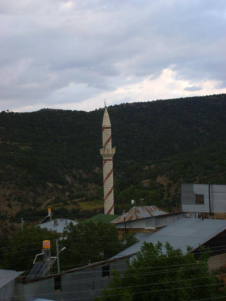 Kemah Ağaçsaray Köyü Resimleri 9