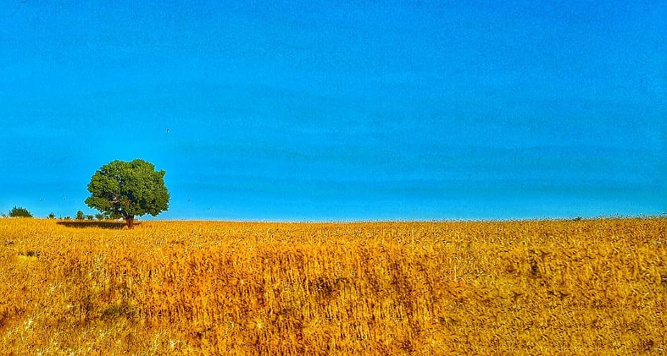 Elazığ Güneyçayır Köyü Resimleri 5