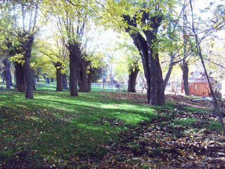 Elazığ Hal  Köyü Resimleri 3