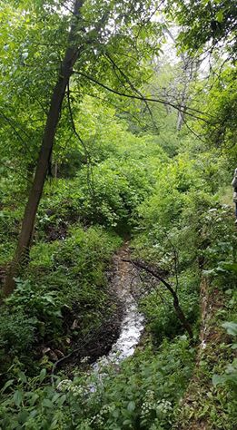 Elazığ Hal  Köyü Resimleri 5