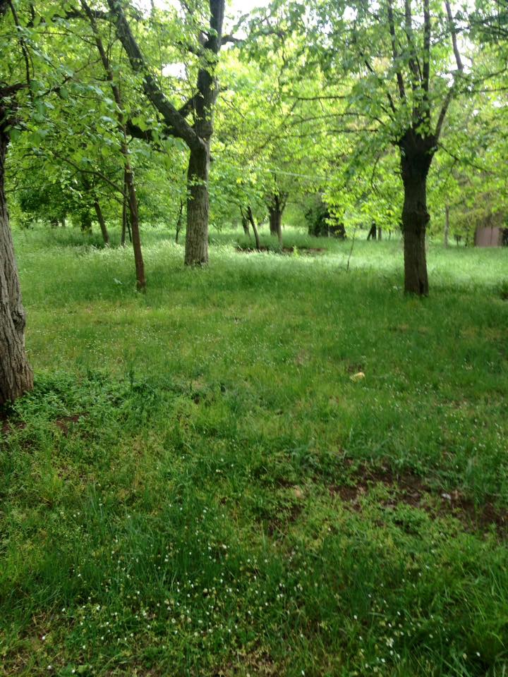 Elazığ Hal  Köyü Resimleri 7