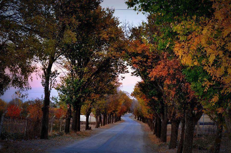 Elazığ Harmantepe  Köyü Resimleri 1