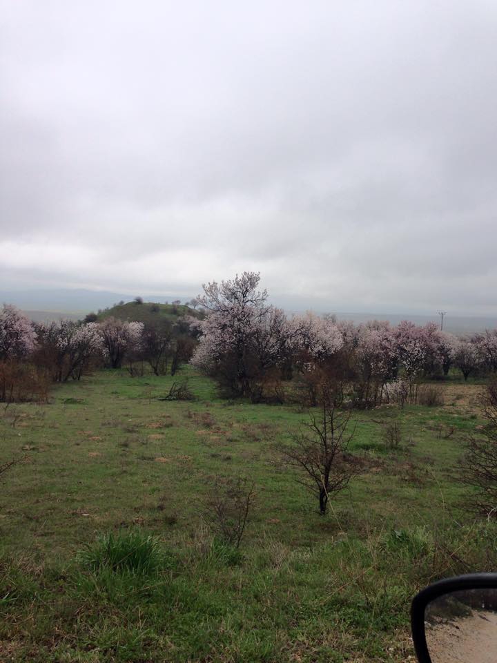 Elazığ Kalkantepe Köyü Resimleri 1