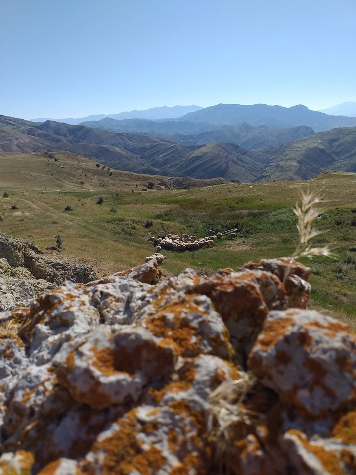 Kemah Bozoğlak Köyü Resimleri 16
