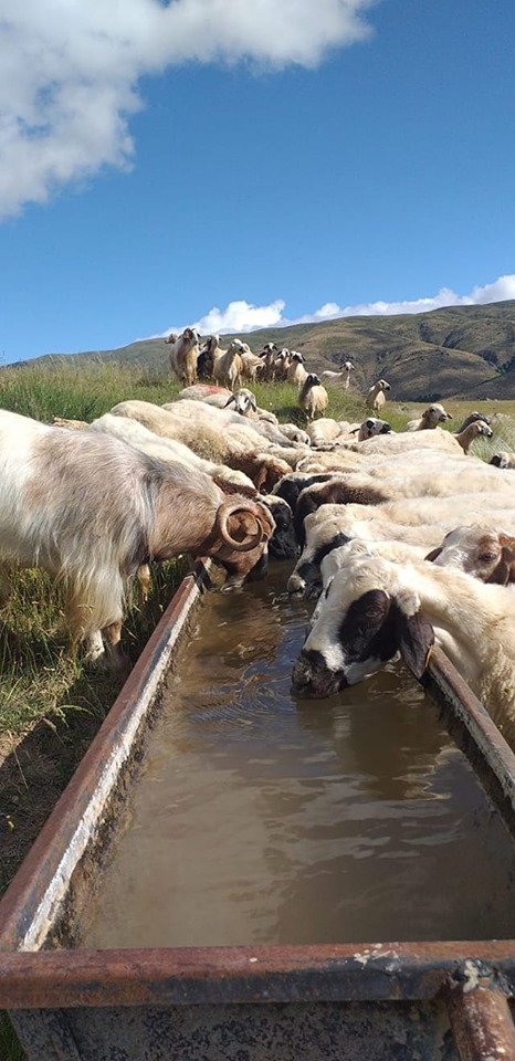 Kemah Bozoğlak Köyü Resimleri 17