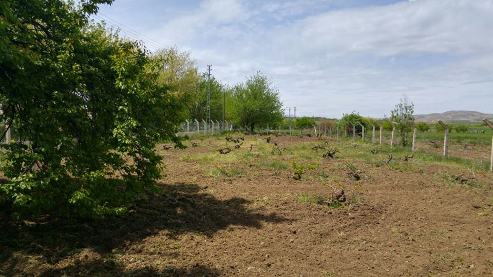 Elazığ Kavaktepe Köyü Resimleri 1