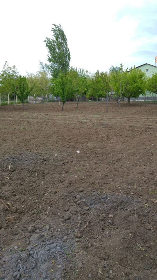 Elazığ Kavaktepe Köyü Resimleri 2