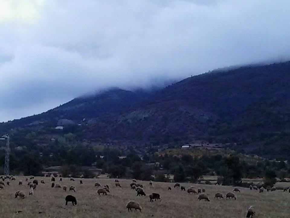 Kemah Bozoğlak Köyü Resimleri 15