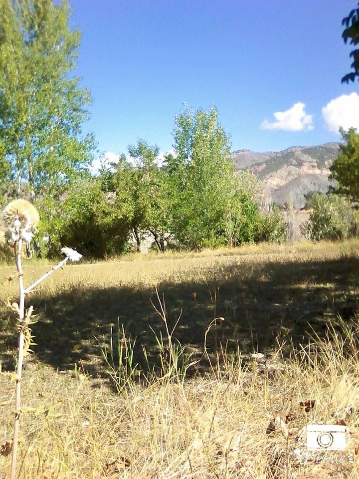 Kemah Bozoğlak Köyü Resimleri 5