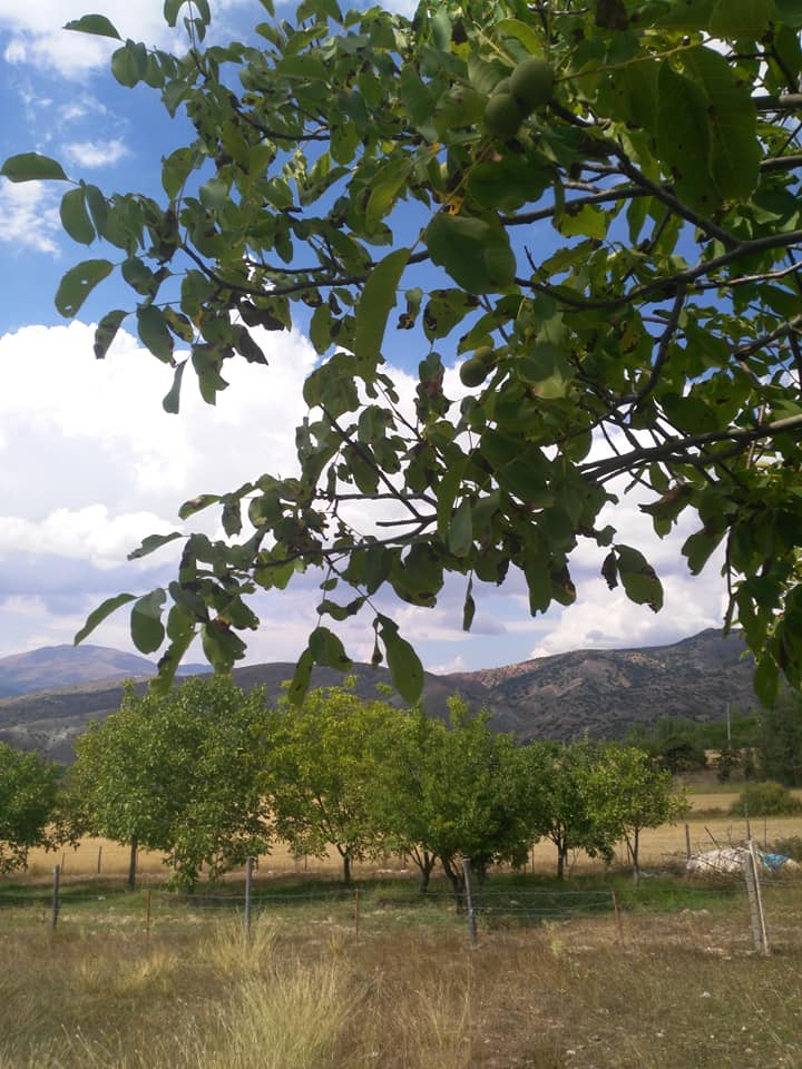 Kemah Bozoğlak Köyü Resimleri 9