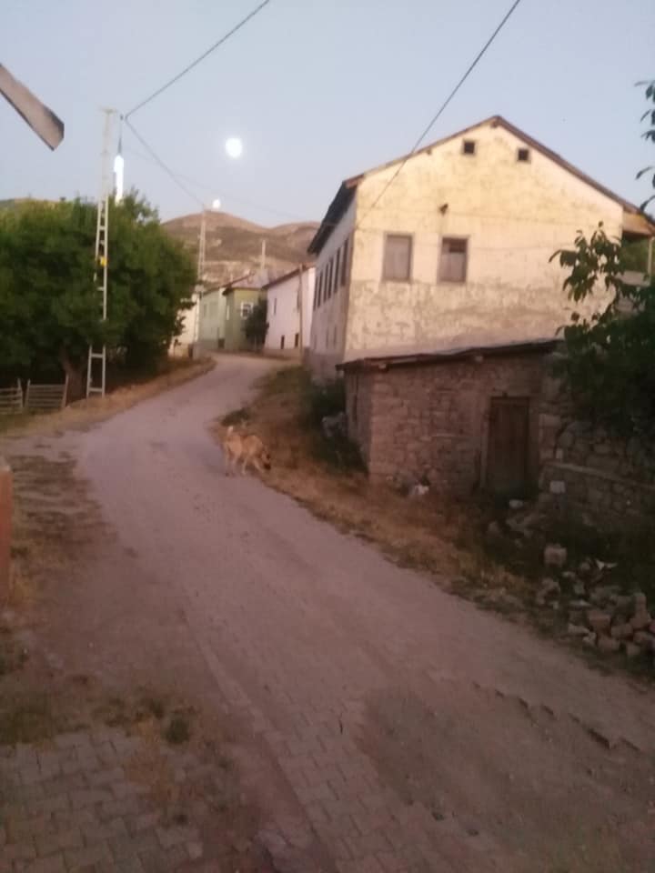Kemah Cevizlik Köyü Resimleri 11