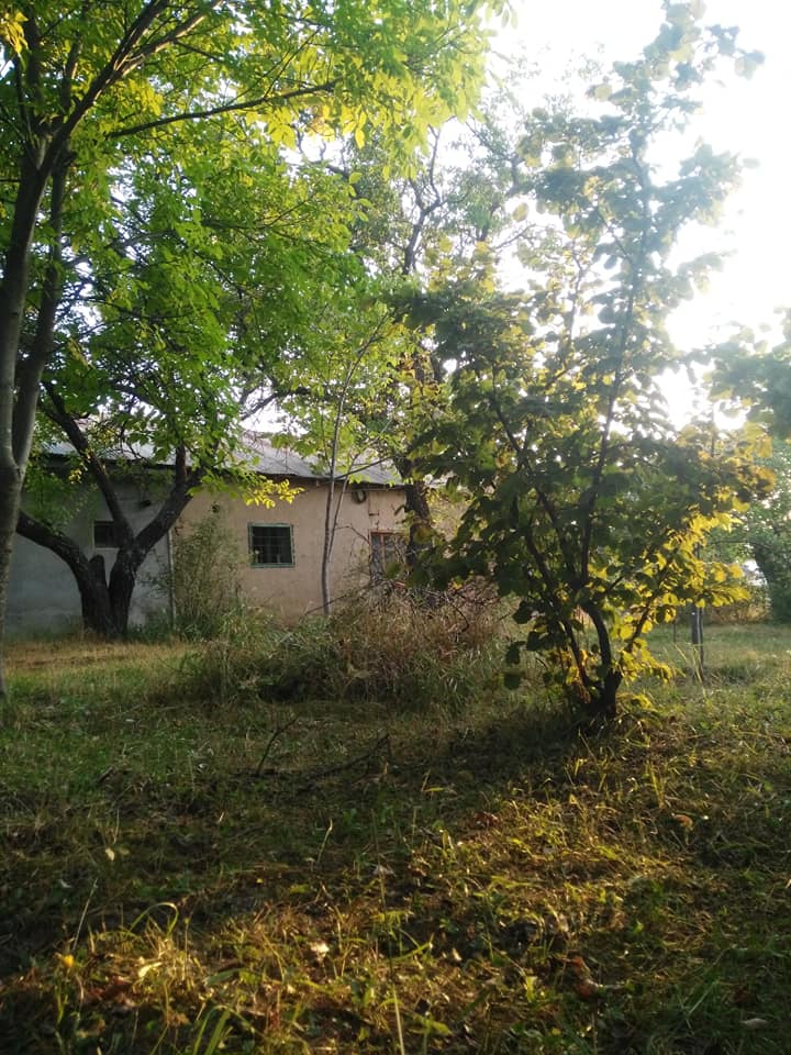 Kemah Cevizlik Köyü Resimleri 21