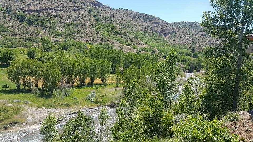 Kemah Çamlıyayla Köyü Resimleri 2