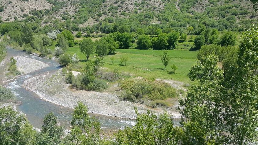 Kemah Çamlıyayla Köyü Resimleri 3