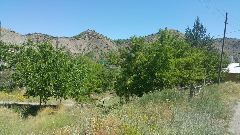 Kemah Çamlıyayla Köyü Resimleri 5