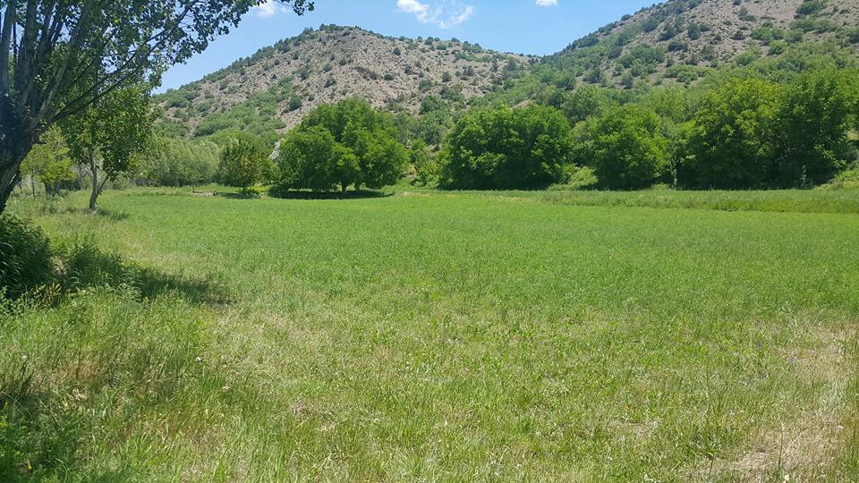 Kemah Çamlıyayla Köyü Resimleri 6