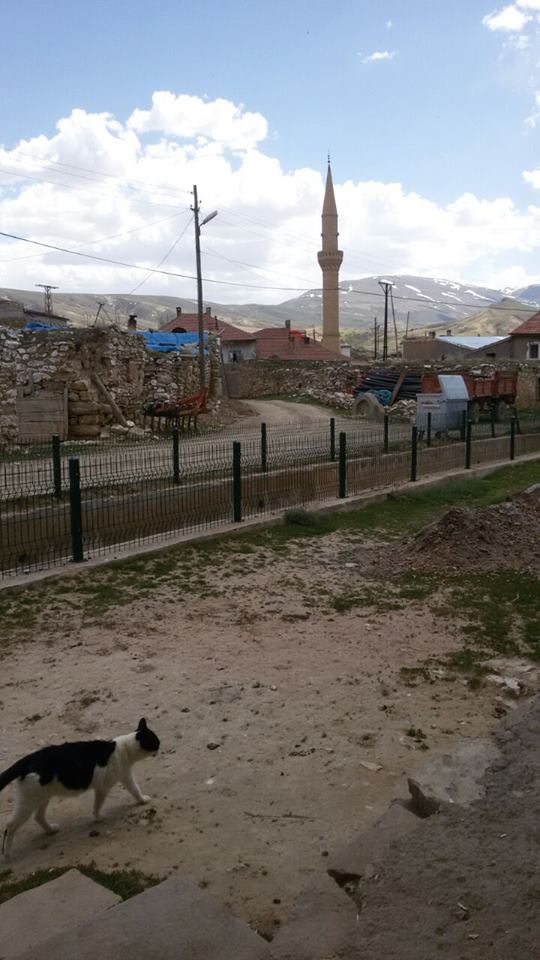 Gemerek Küçüktuzhisar Köyü Resimleri 15