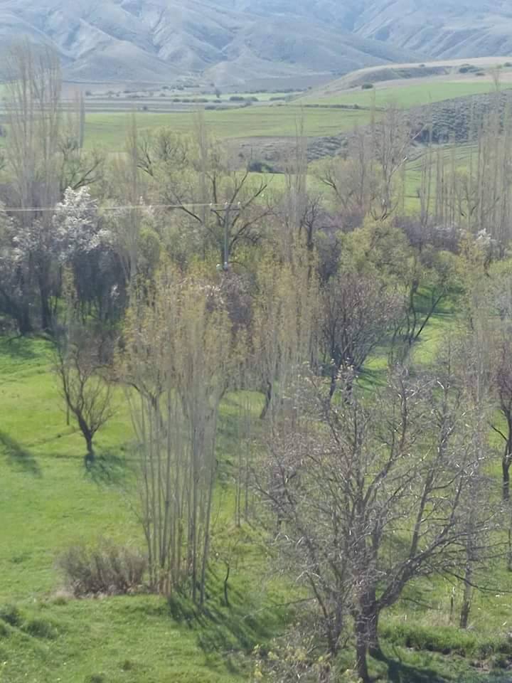 Gemerek Küçüktuzhisar Köyü Resimleri 24