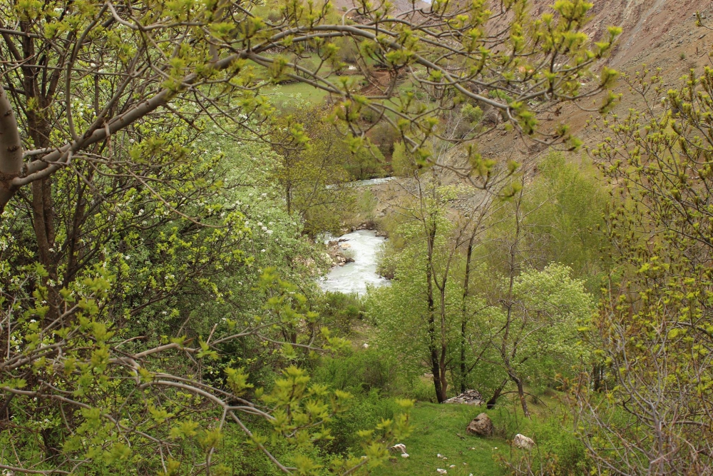 Kemah Dereköy Köyü Resimleri 10