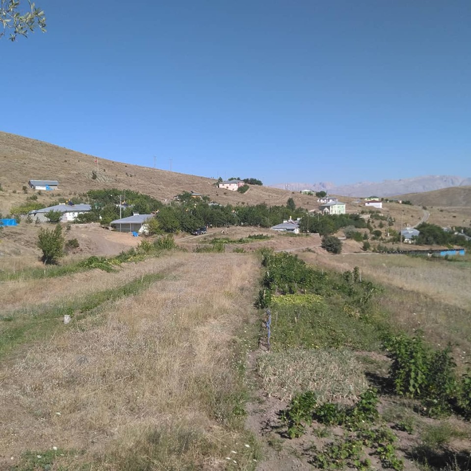 Kemah Dikyamaç Köyü Resimleri 2